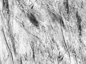 Similar image 19942170