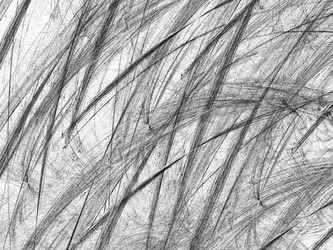 Similar image 19942211