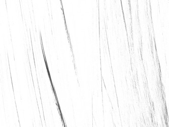 Similar image 19942991