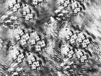 Similar image 20110781