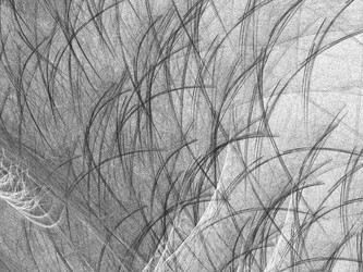 Similar image 20110938