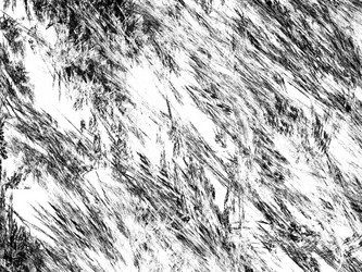 Similar image 20110951