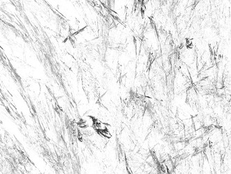 Similar image 20111142