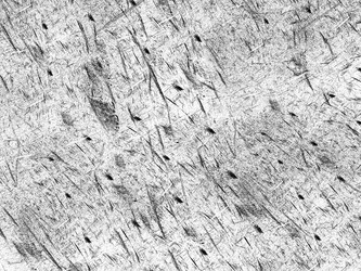 Similar image 20111158