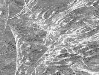 Similar image 20111275