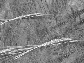 Similar image 20111648