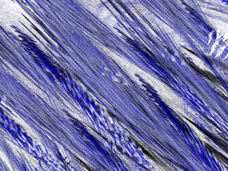 Similar image 20111907