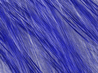 Similar image 20111939