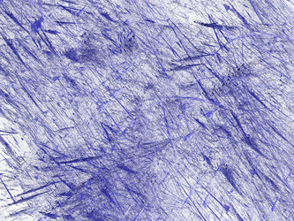 Similar image 20111942