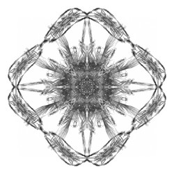 Similar image 20111652