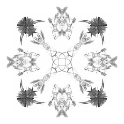 Similar image 20111658