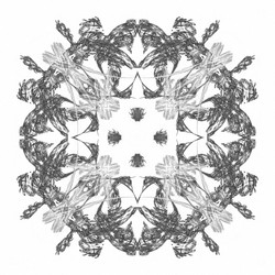 Similar image 20112064