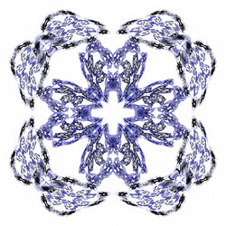 Similar image 20110618