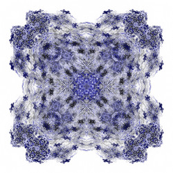 Similar image 20110672