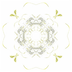 Similar image 20111143