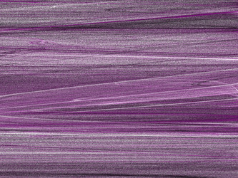 Similar image 20112083