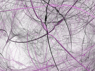 Similar image 20110765