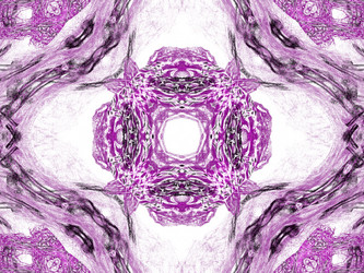 Similar image 20111363