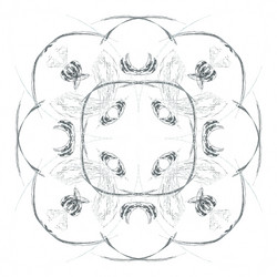 Similar image 20111509