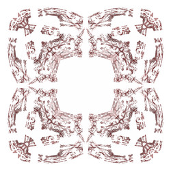 Similar image 20111117