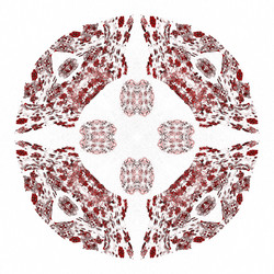 Similar image 20111207