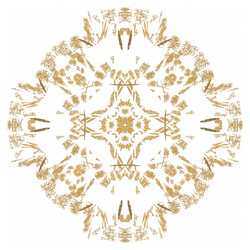 Similar image 20111593