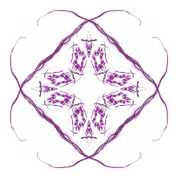 Similar image 20110730