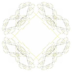 Similar image 20112025