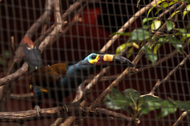 Similar image 20120515