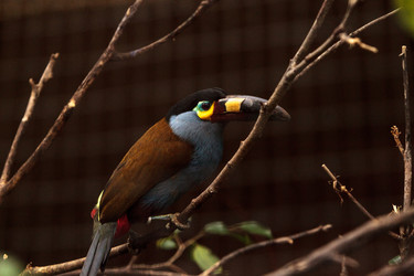 Similar image 20120544