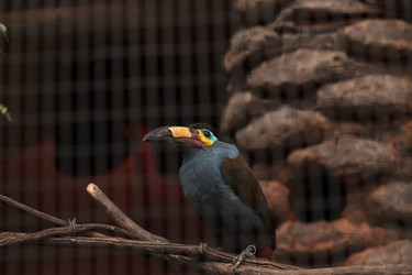 Similar image 20120554