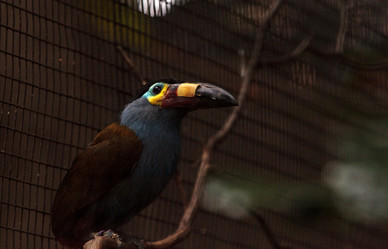 Similar image 20120566