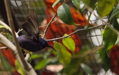 Similar image 20120603