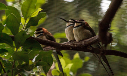 Similar image 20120496