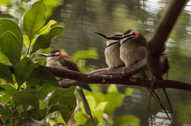 Similar image 20120507