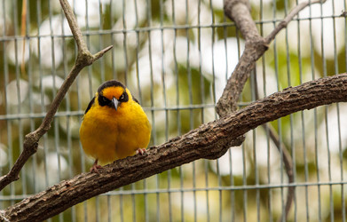 Similar image 20120520