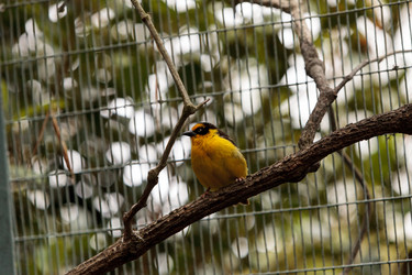 Similar image 20120569