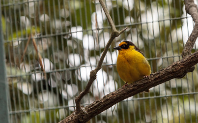 Similar image 20120618