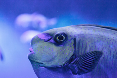 Similar image 20120303