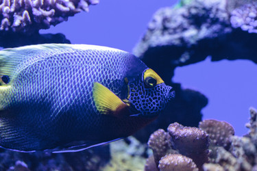 Similar image 20120331