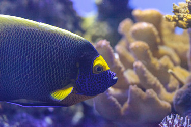 Similar image 20120339