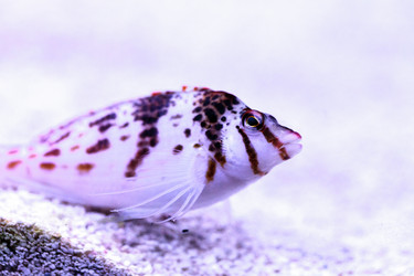 Similar image 20120501