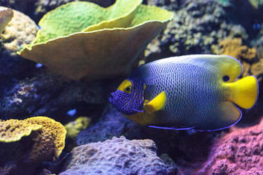 Similar image 20120492