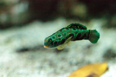 Similar image 20120626