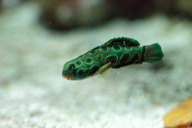 Similar image 20120634