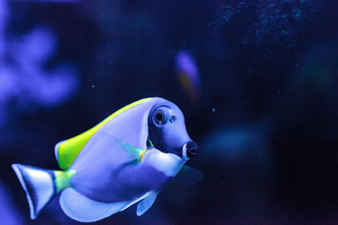 Similar image 20120642