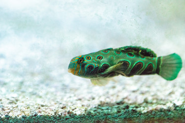 Similar image 20120651