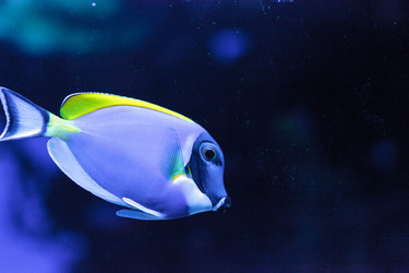 Similar image 20120744