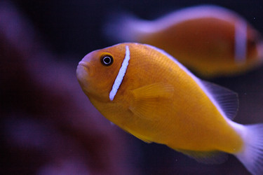 Similar image 20118408