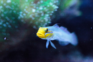 Similar image 20120289